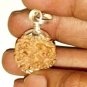 1 mukhi Nepal Origin Rudraksha Silver cap Pendant One Face Round Shape Rudraksha