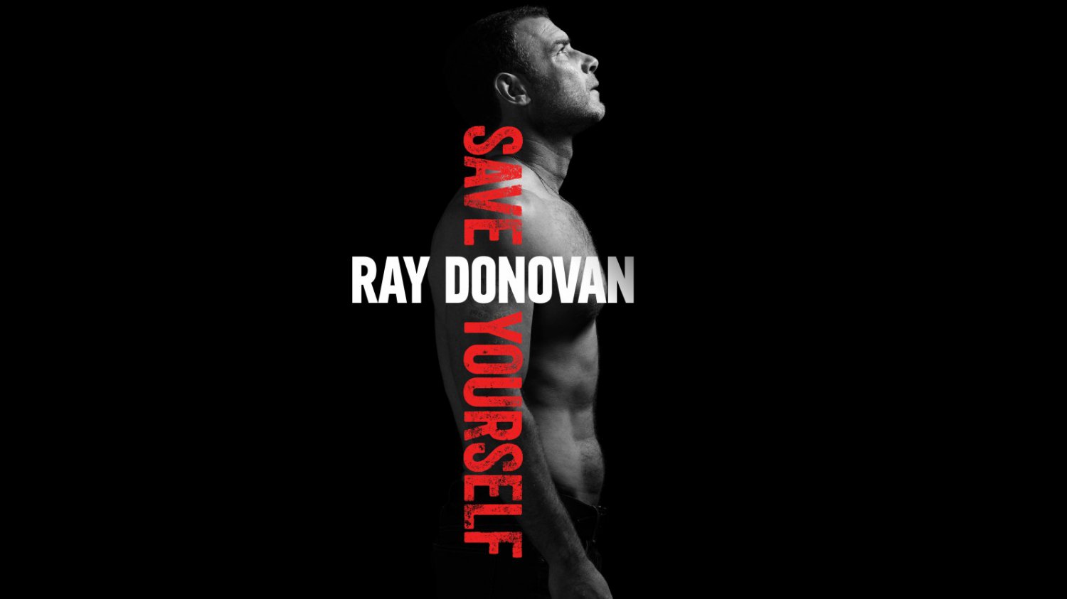 Ray Donovan - Complete Series