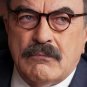 Blue Bloods - Complete Series