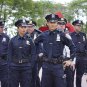 Blue Bloods - Complete Series