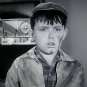 Leave It To Beaver - Complete Series