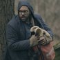 The Handmaids Tale - Complete Series