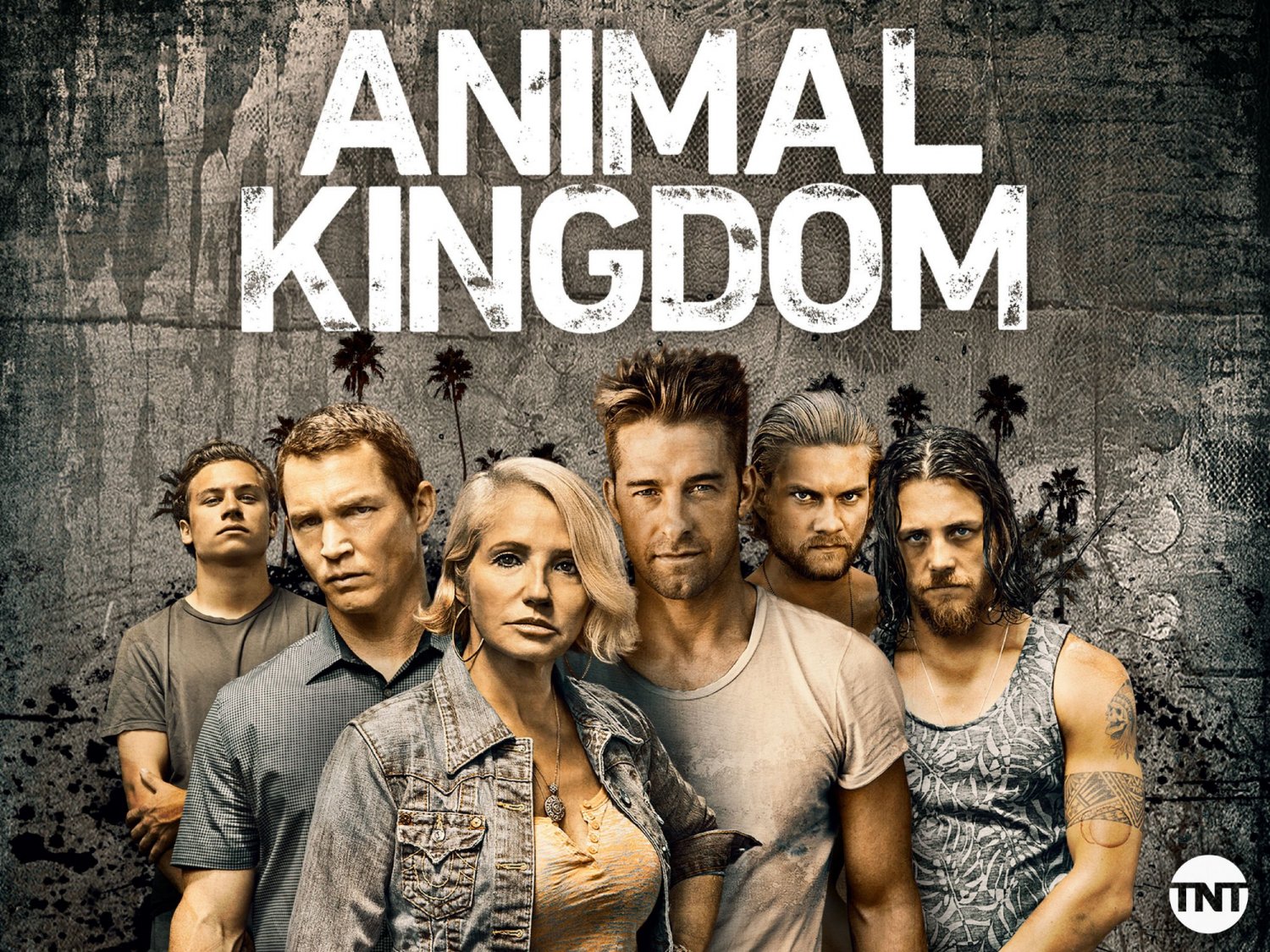 Animal Kingdom - Complete Series