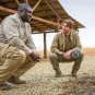 Zoo - Complete Series