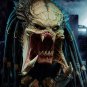 Predator Movie Collection