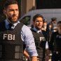 FBI Most Wanted - Complete Series