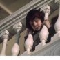 The Omen Movie Collection