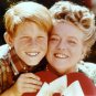 The Andy Griffith Show - Complete Series