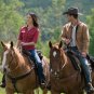 Heartland - Complete Series