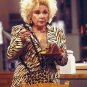 The Nanny -  Complete Series