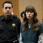 The Sinner - Complete Series