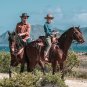 The Mallorca Files - Complete Series
