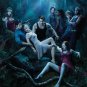 True Blood - Complete Series