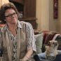 Mike & Molly - Complete Series