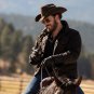 Yellowstone - Complete Series