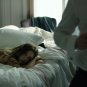 The Girlfriend Experience - Complete Series