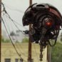 Colony - Complete Series