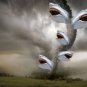 Sharknado Movie Collection