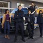 Animal Control - Complete Series