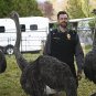 Animal Control - Complete Series