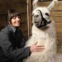Animal Control - Complete Series