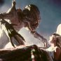Pumpkinhead Movie Collection