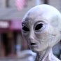The X-Files - Complete Series