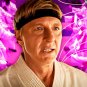 Cobra Kai - Complete Series