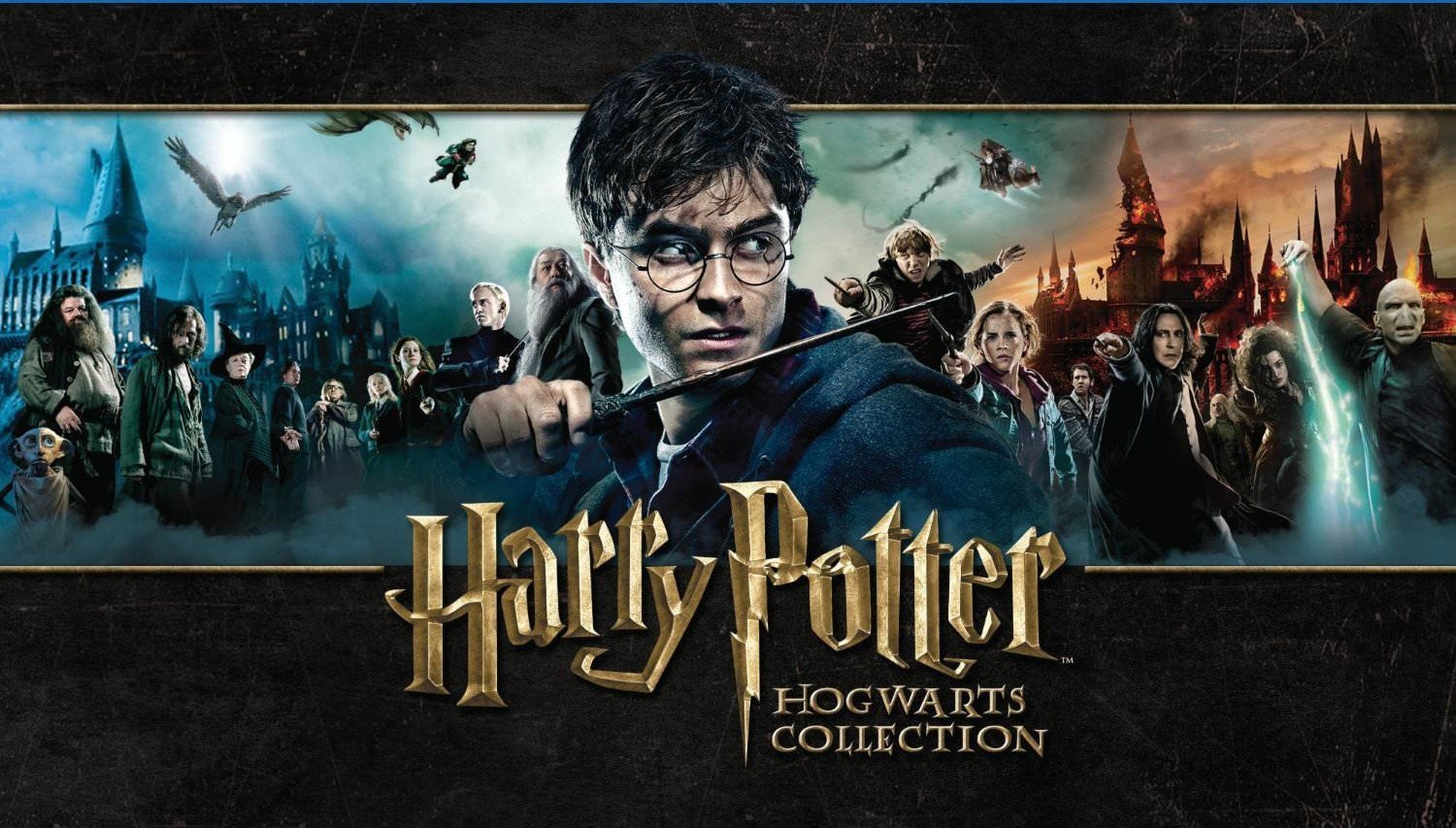Harry Potter Movie Collection