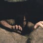 The Ring Movie Collection