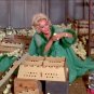 Green Acres - Complete Series