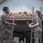 Fear The Walking Dead - Complete Series