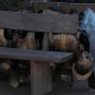 The Witcher - Complete Series