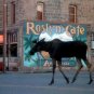 Northern Exposure - Complete Series