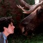 Northern Exposure - Complete Series
