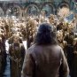 The Hobbit Movie Collection