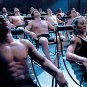 Universal Soldier Movie Collection