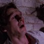 Darkman Movie Collection