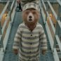 Paddington Movie Collection