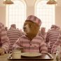Paddington Movie Collection