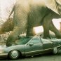Jumanji Movie Collection