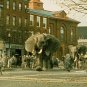 Jumanji Movie Collection
