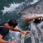 Jaws Movie Collection
