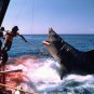 Jaws Movie Collection