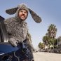 Wilfred - Complete Series