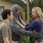 Wilfred - Complete Series
