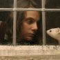 His Dark Materials - Complete Series