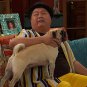 Raven's Home - Complete Series