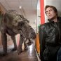 Primeval - Complete Series