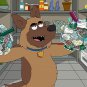 Paradise PD - Complete Series
